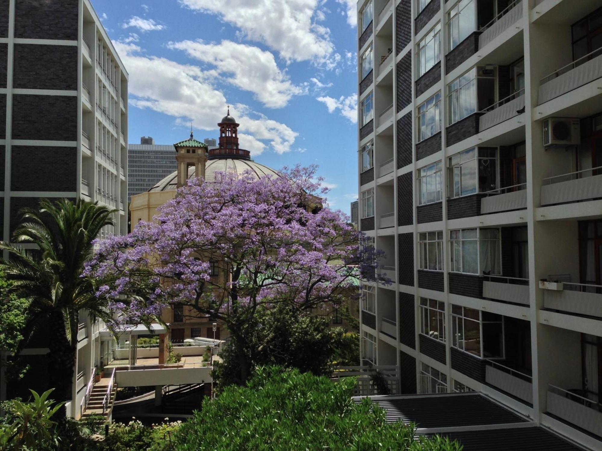 Cape Breaks Apartment Cape Town Ngoại thất bức ảnh